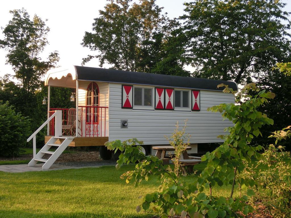 Pipowagen Camping Puur Genieten Bed and Breakfast Someren Rum bild
