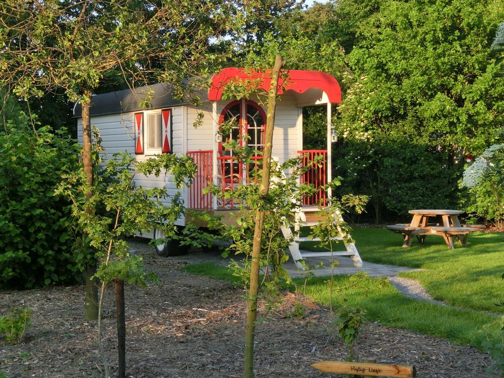 Pipowagen Camping Puur Genieten Bed and Breakfast Someren Rum bild